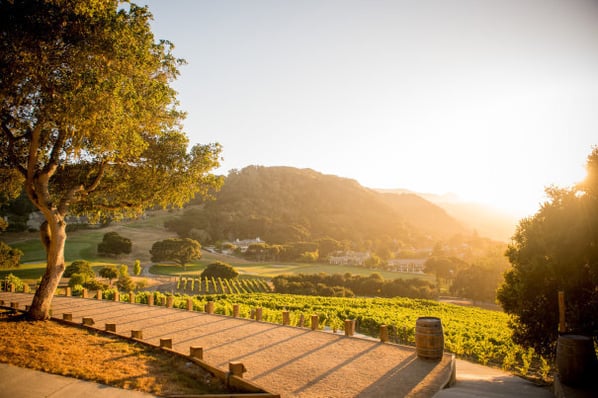 Carmel-Valley-Ranch_Property_Harvest-Landing_vineyard_twilight-31be74905056a36_31be776b-5056-a36a-0aec19617b3044c7