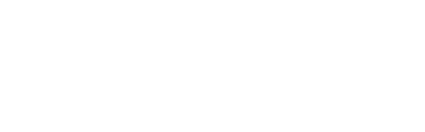 VLVoices_logowhite VLVoices_logowhite
