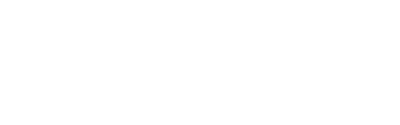 VirtuosiLEAP_white_logo (1)